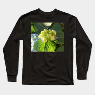 Hortensia flowers photo Long Sleeve T-Shirt